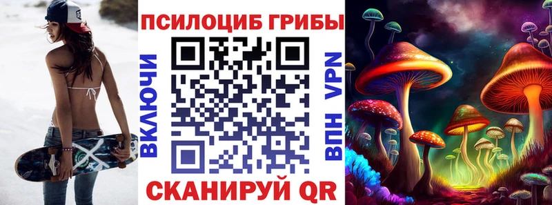Галлюциногенные грибы Psilocybe  mega как зайти  Калач 